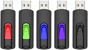 RAOYI 5 Pack 64GB USB Flash Drive, USB 2.0 Memory Stick Thumb Drives Jump Drive Pen Drive for PC Laptop Computer - 64G Multipack